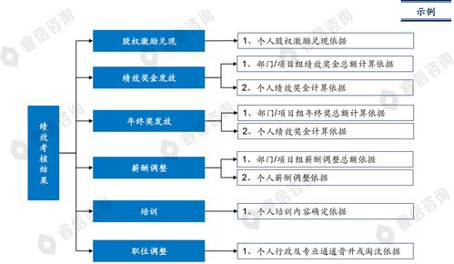 睿信咨询 某科技公司人力资源项目案例